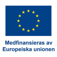 Den europeiska unionens flagga.